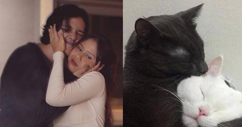 Instagram.com/cakecaine